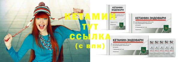дживик Инта
