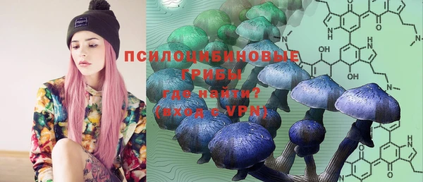 герыч Зеленокумск