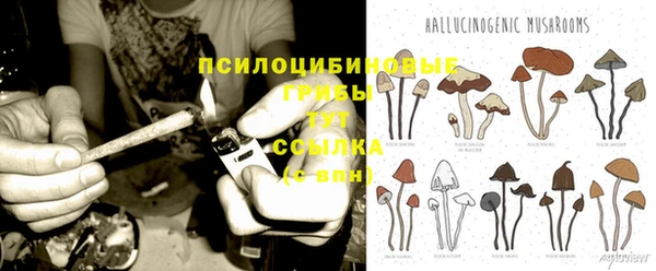 герыч Зеленокумск