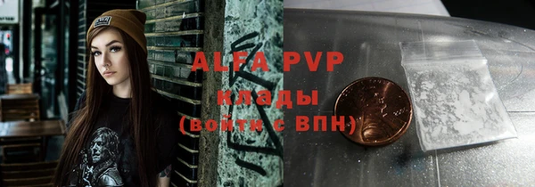 стаф Зерноград