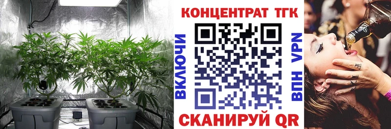 Купить  Малая Вишера  Дистиллят ТГК THC oil 