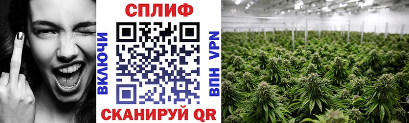 Купить закладки  Малая Вишера  Бошки марихуана MAZAR 
